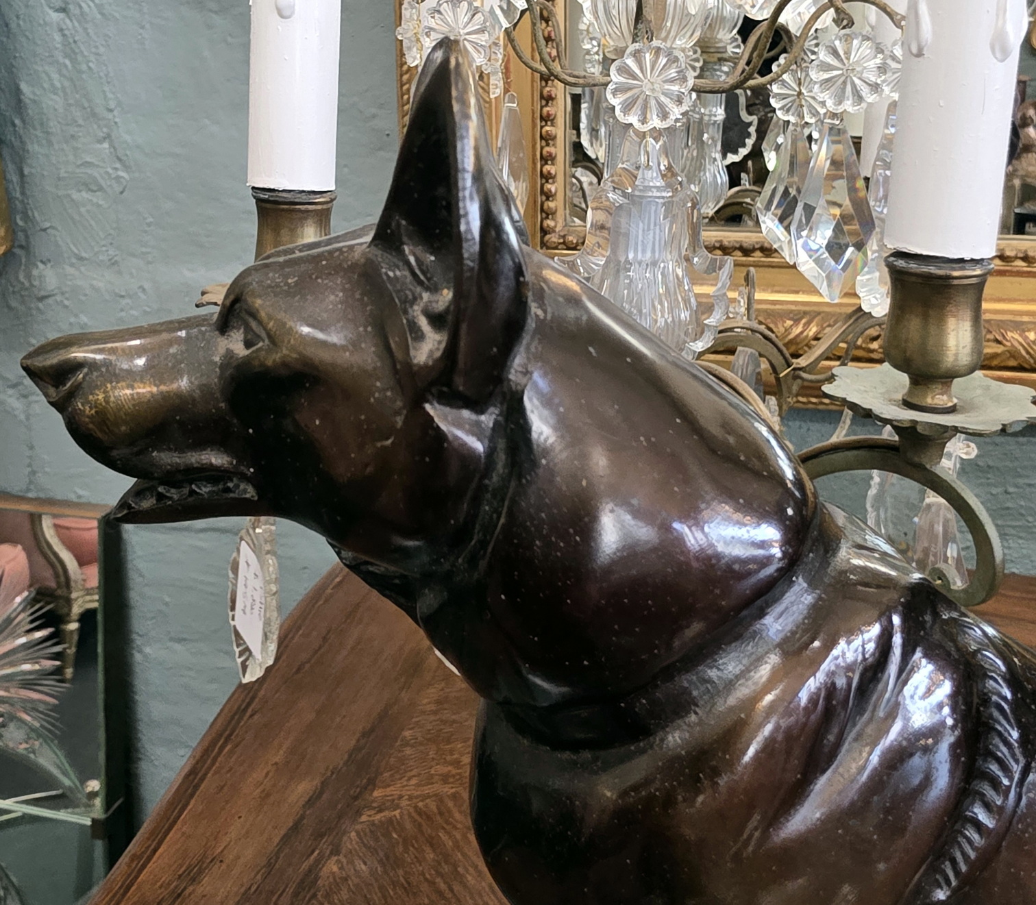 A French Alsatian Dog A French Alsatian Dog
